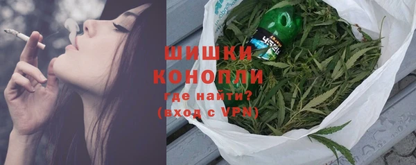 ПСИЛОЦИБИНОВЫЕ ГРИБЫ Инсар