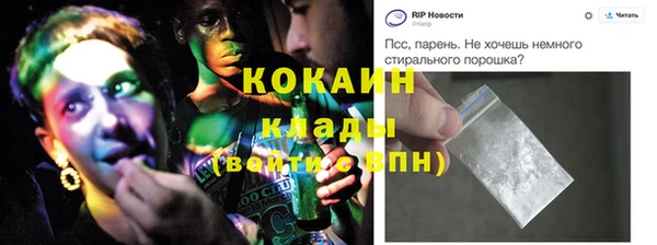 ПСИЛОЦИБИНОВЫЕ ГРИБЫ Инсар