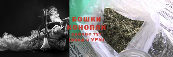 ПСИЛОЦИБИНОВЫЕ ГРИБЫ Инсар