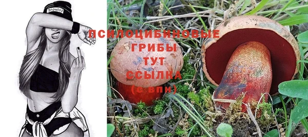 соль ск Иннополис