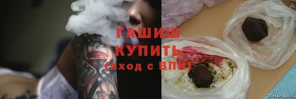 дмт Инта