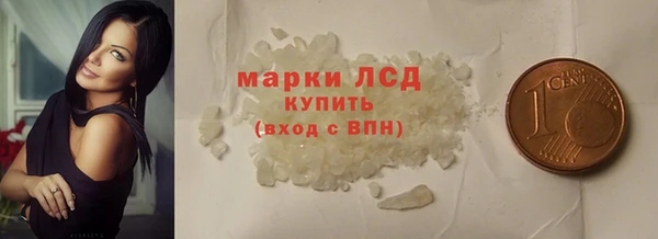 ПСИЛОЦИБИНОВЫЕ ГРИБЫ Инсар