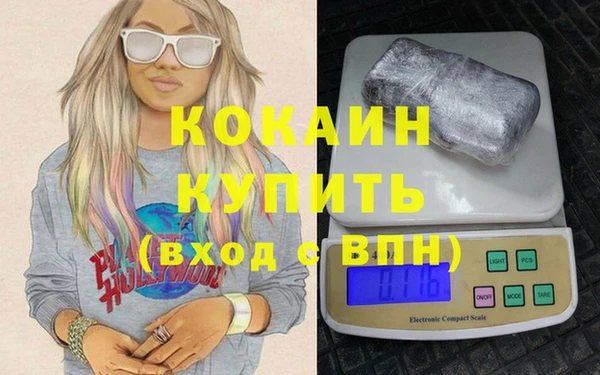 дмт Инта