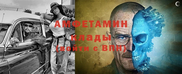 дмт Инта