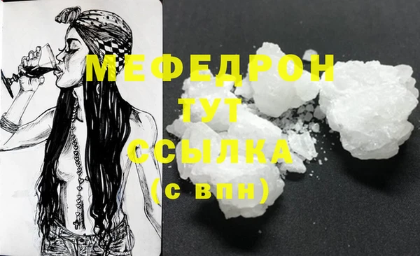 дмт Инта