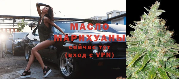 дмт Инта
