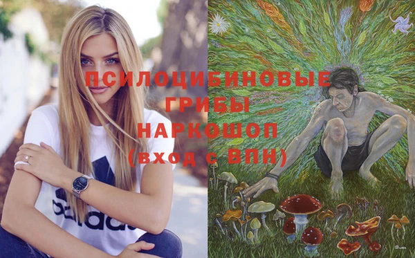 дмт Инта
