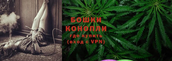ПСИЛОЦИБИНОВЫЕ ГРИБЫ Инсар