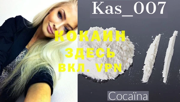 ПСИЛОЦИБИНОВЫЕ ГРИБЫ Инсар